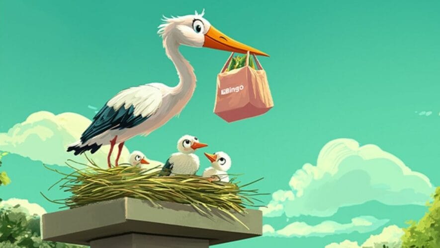 Bingo akcija. Instagram