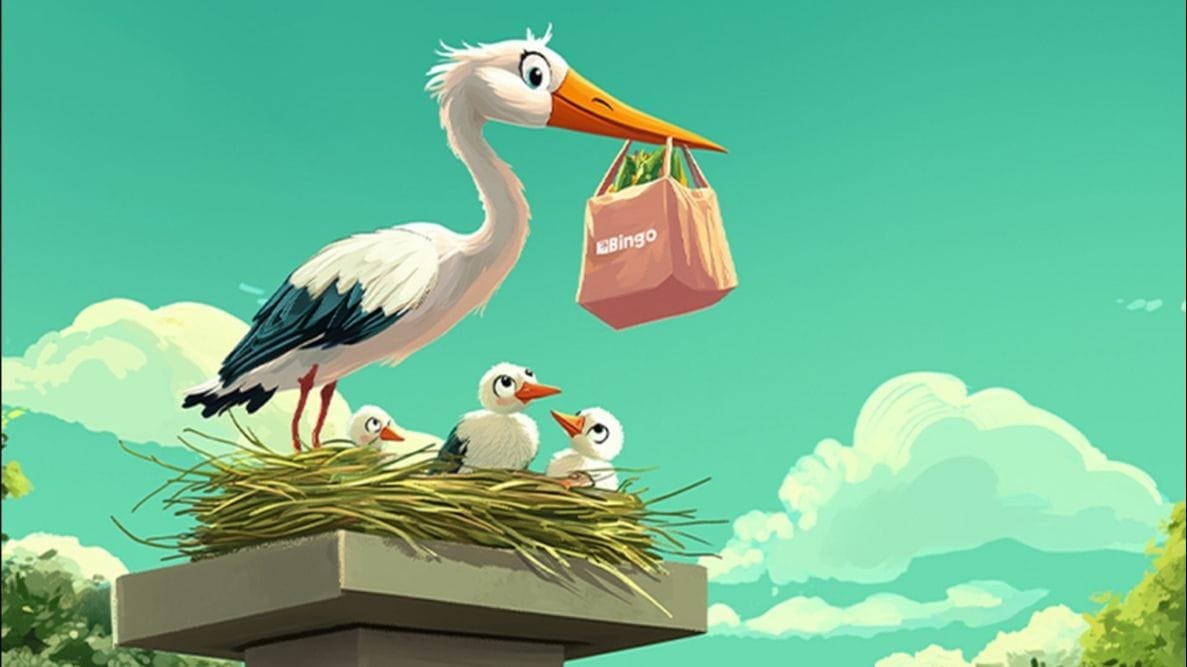 Bingo akcija. Instagram