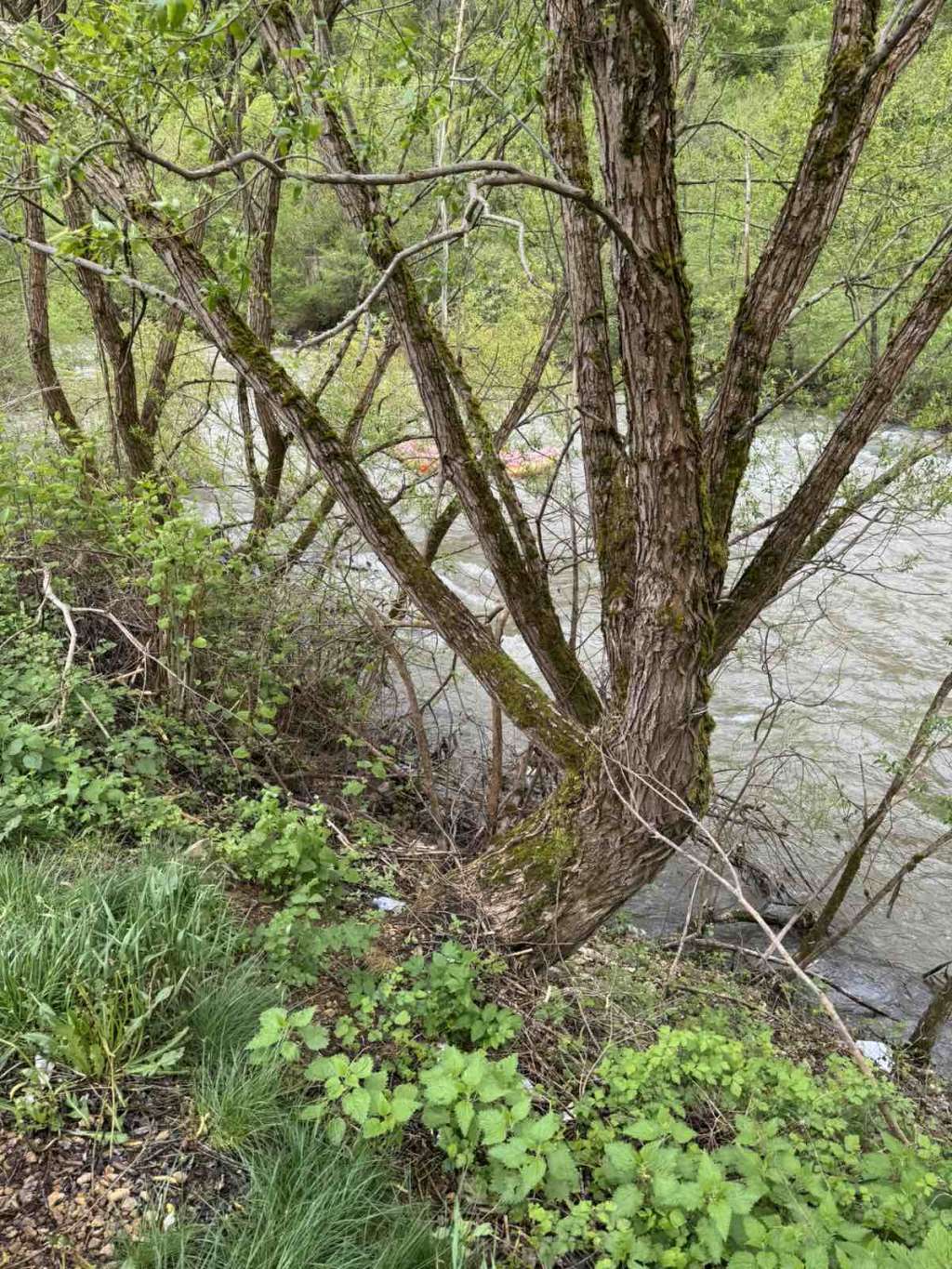 Foto: Radio Donji Vakuf