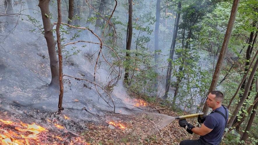 Foto: Vladimir Matijevic/FENA