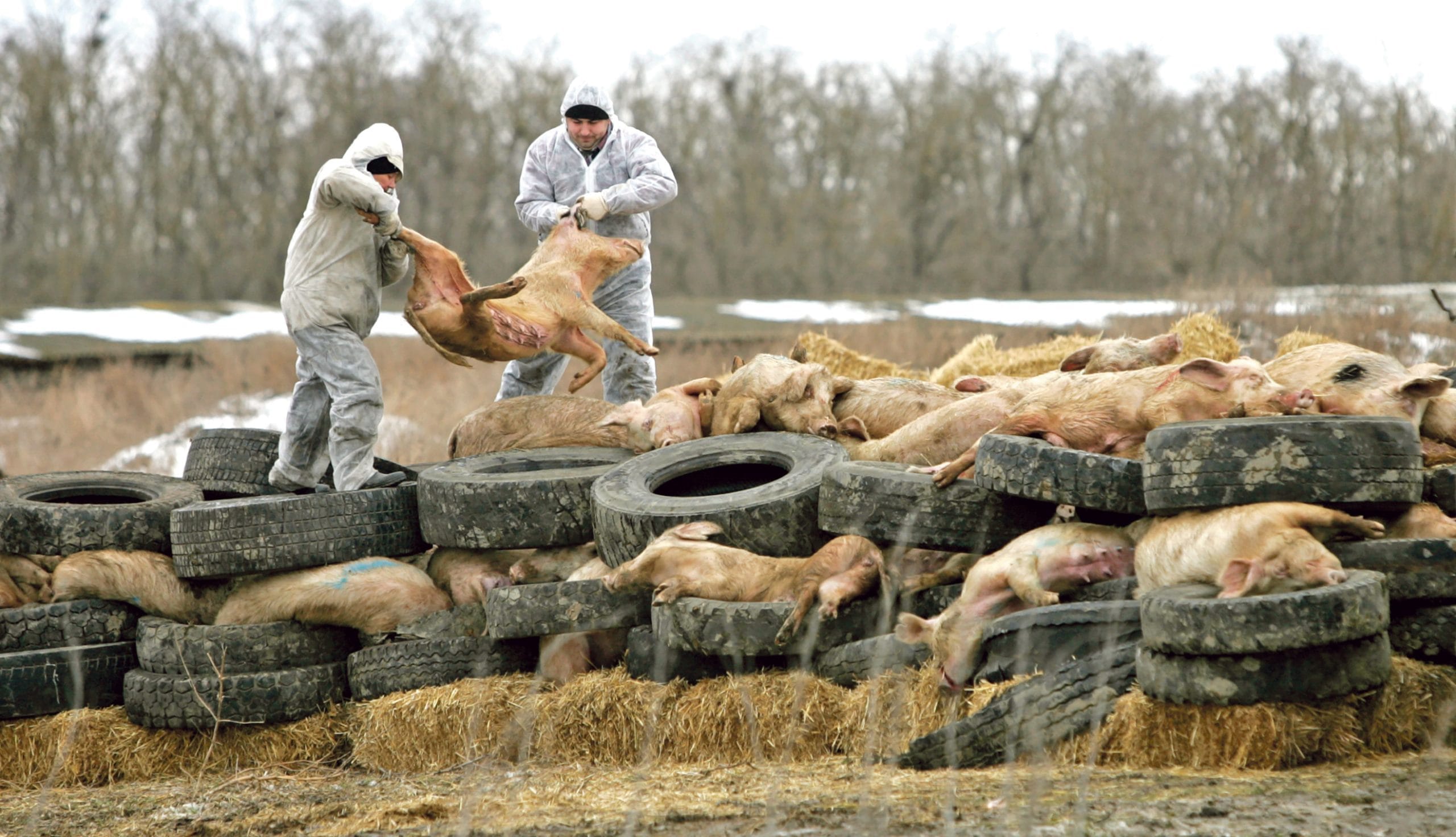 Ilustracija. Foto: Raport.ba