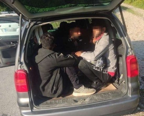 Foto: FENA/ Ilustracija