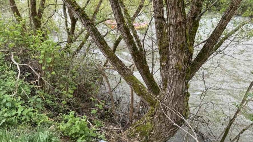 Foto: Radio Donji Vakuf