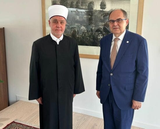 Kavazović i Šmit. Mreža X