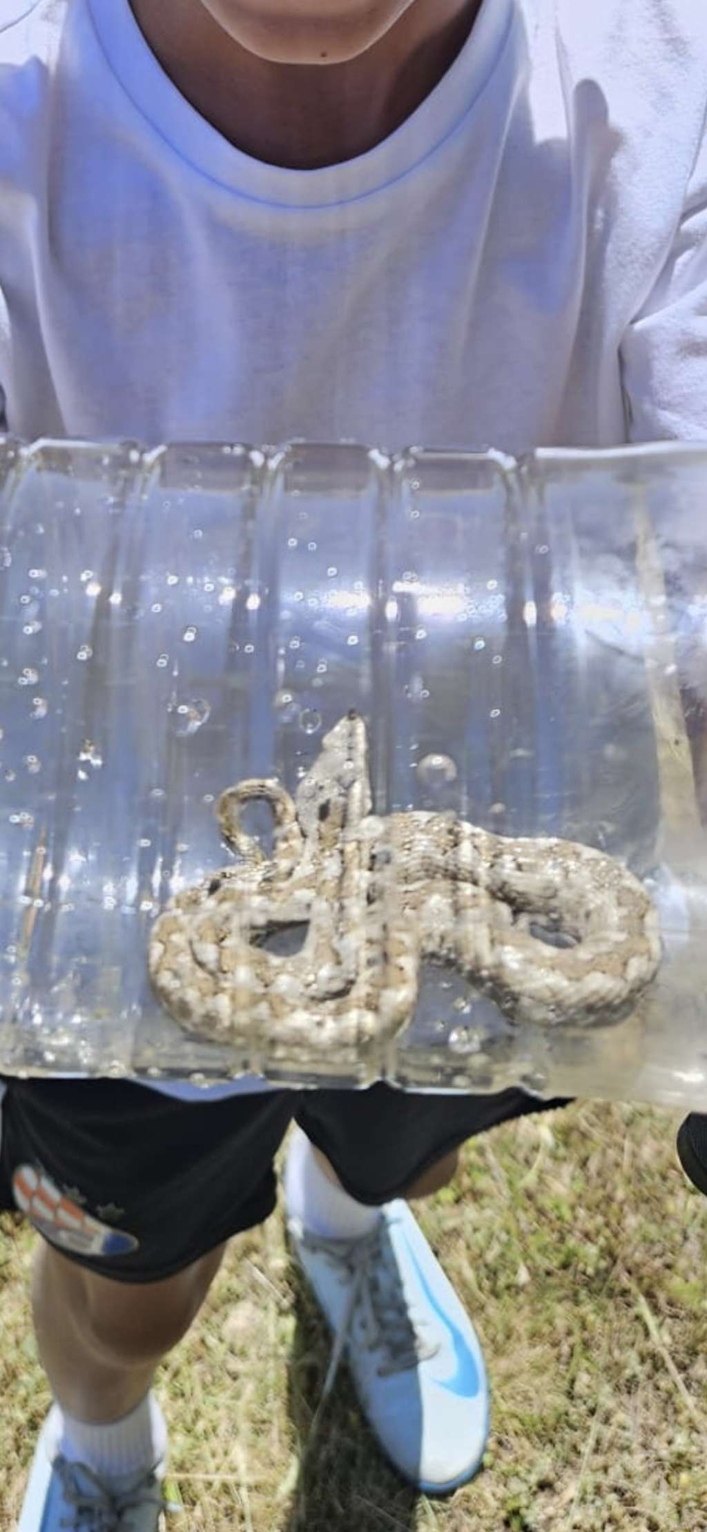 Foto: Nada Landeka/FENA